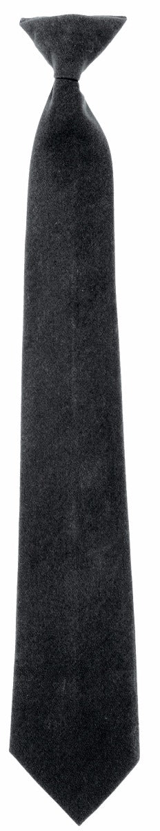 Professional Clip-on Tie