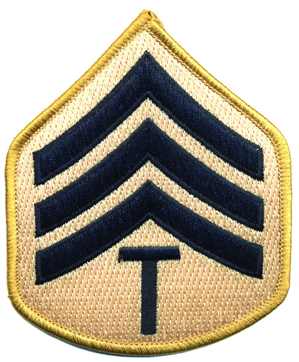 City of LA Traffic Officer Chevron (Pair)