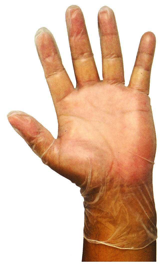 First Class Clear Disposable Vinyl Gloves (100 Pack)