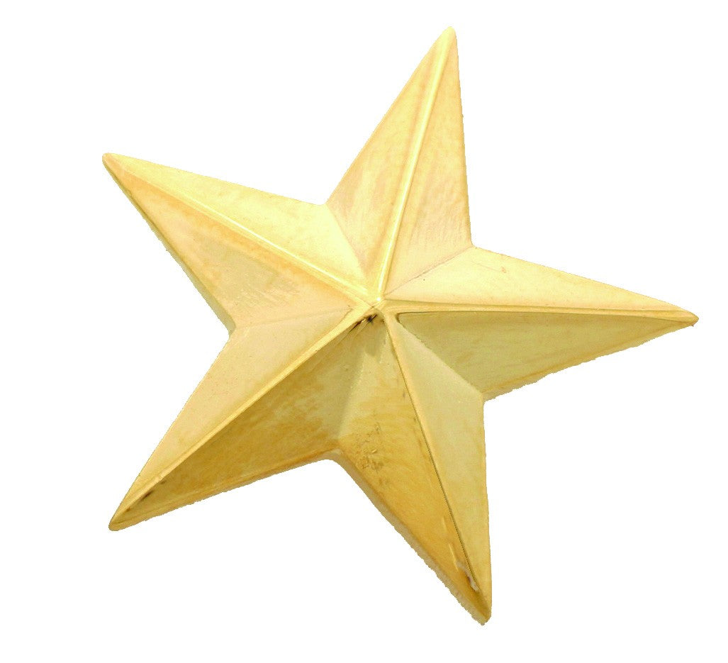 First Class Star Insignia Pin Pair (Large)