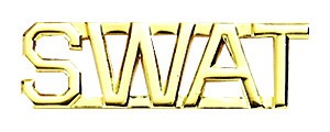 First Class SWAT Pin Pair